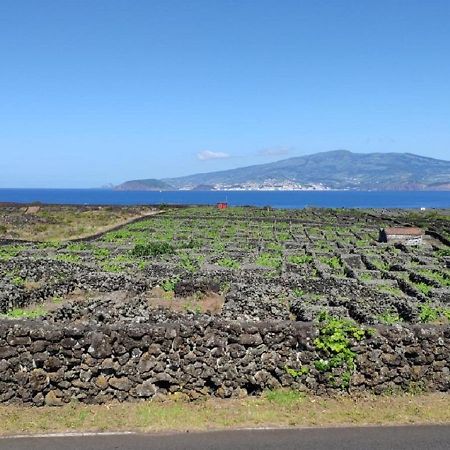 Вилла Casa Da Ilha Мадалена Экстерьер фото