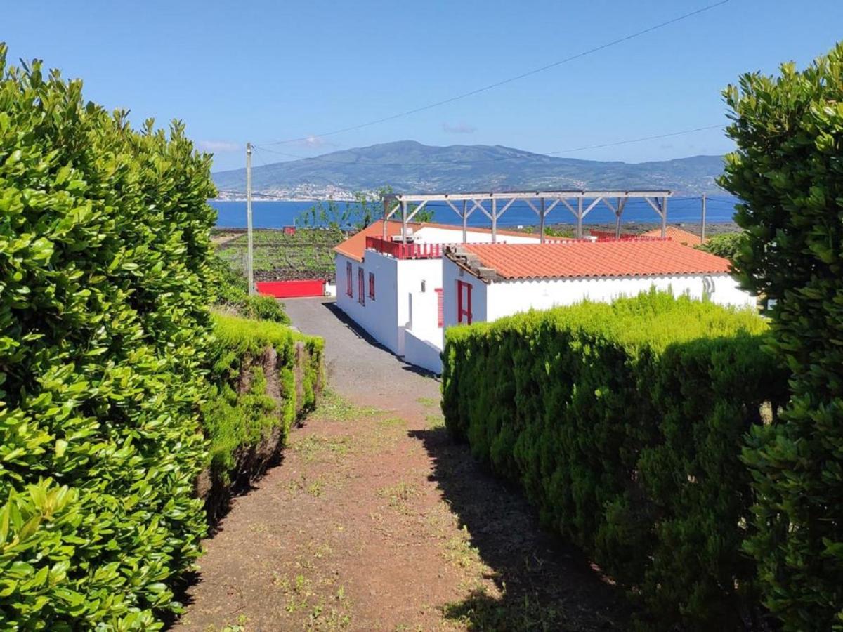 Вилла Casa Da Ilha Мадалена Экстерьер фото