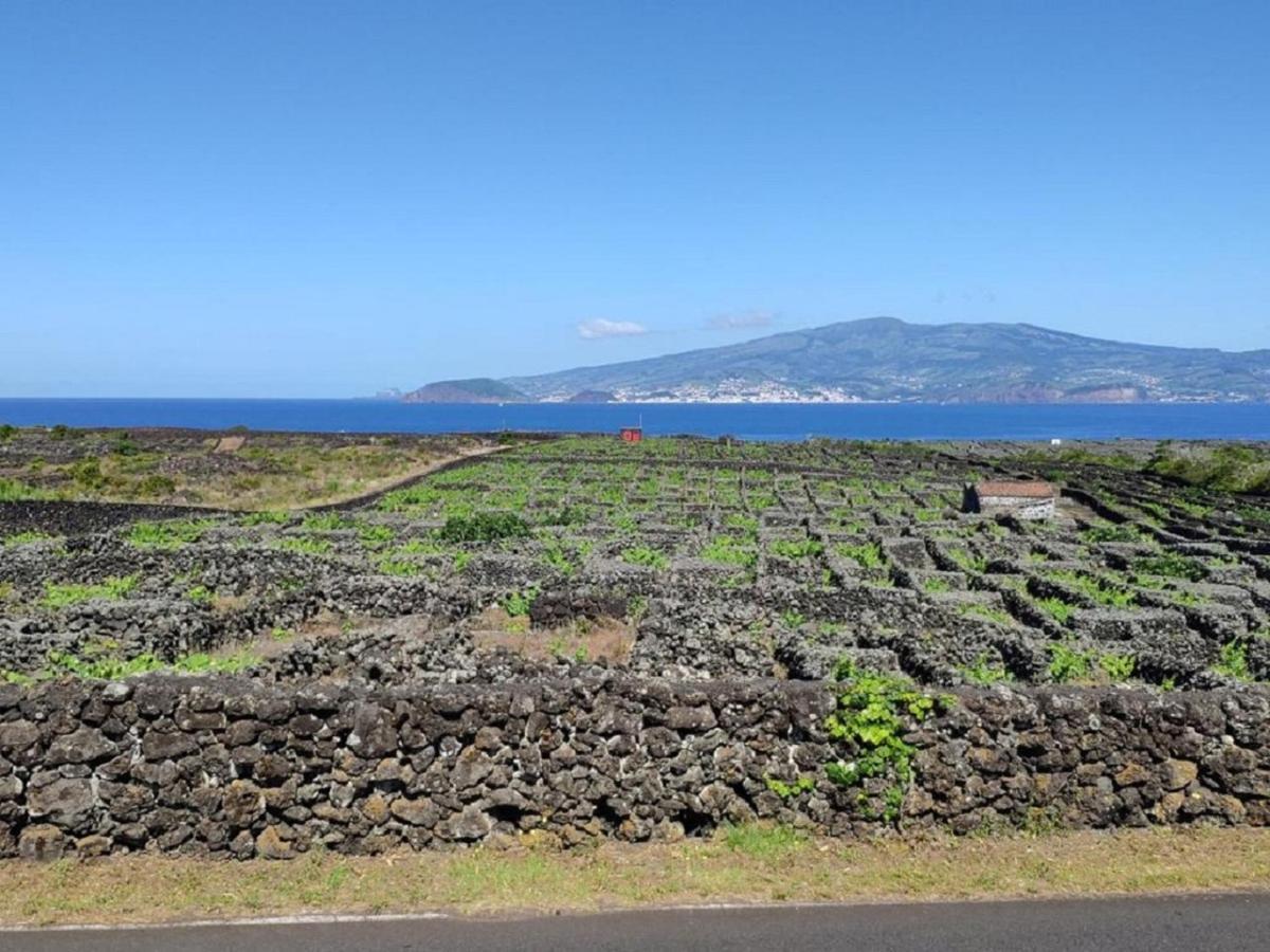 Вилла Casa Da Ilha Мадалена Экстерьер фото
